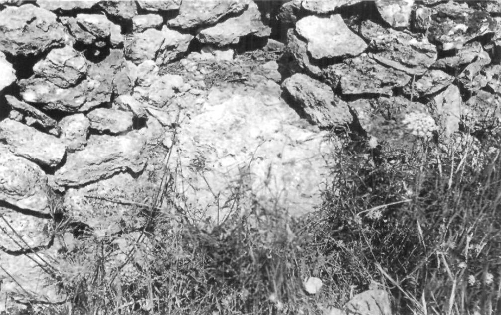 Fita de la Coma, encastada en un mur que va de nord a sud, al costat nord del camí que des del pla Roig entra a Albarqueta, just davant una gran pedrera abandonada.