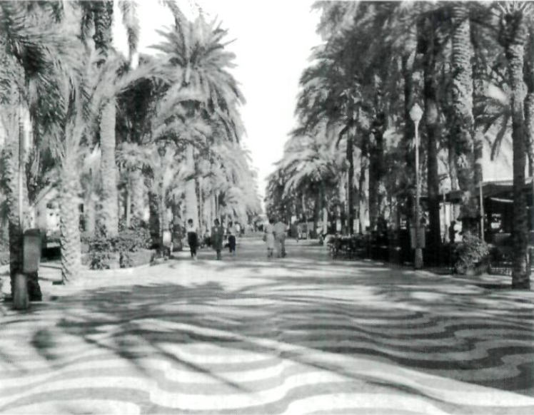 L'Esplanada d'Alacant. (Foto: Gran Enciclopèdia Larousse.)