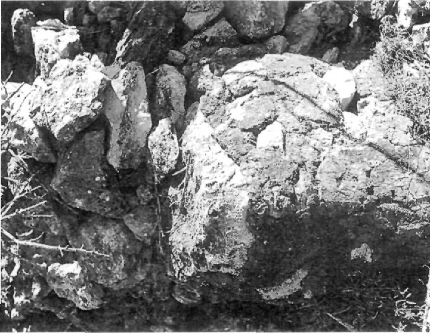 D'esquerra a dreta, puig de na Parentona, fita entre Portmany i el Pla de Vila; i fita de la Cova Negra o de les Monges, entre Santa Eulària i el Pla de Vila. (Fotos: Joan Marí Cardona.)