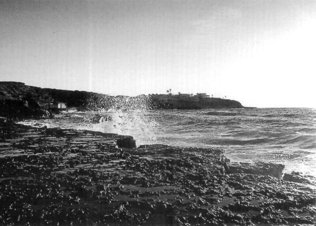 La costa oest de Comte, i s'Embarcador al fons.
