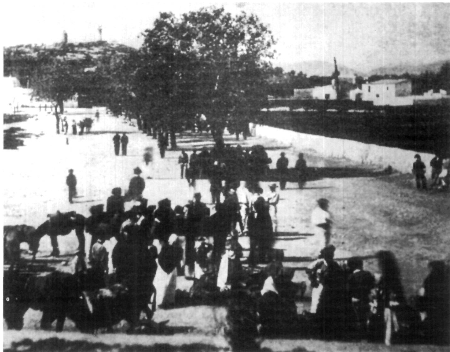 El passeig dels Baladres, després de l'Alamera o de Vara de Rey, ocupava una part de l'hort de la Tarongeta (c. 1868).