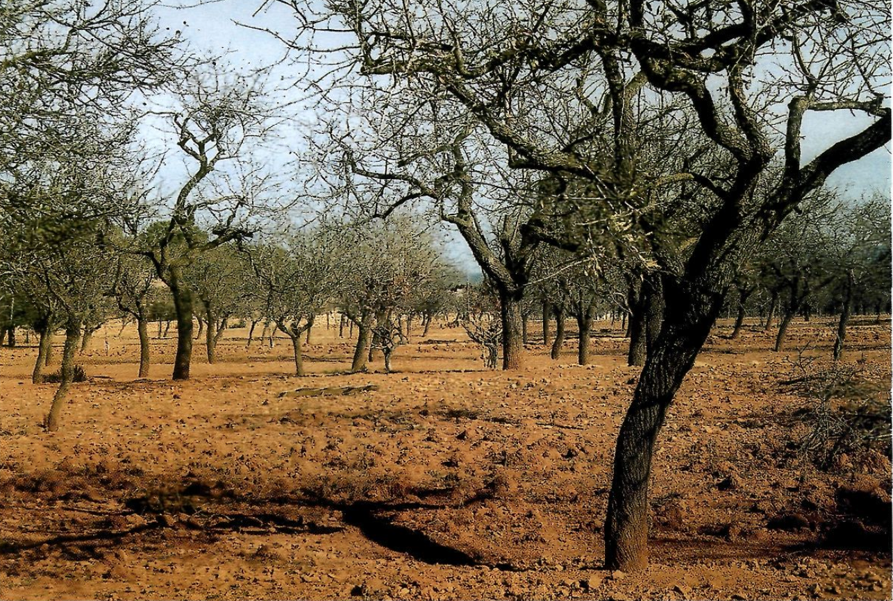 "El meu pare [...] només era propietari d\