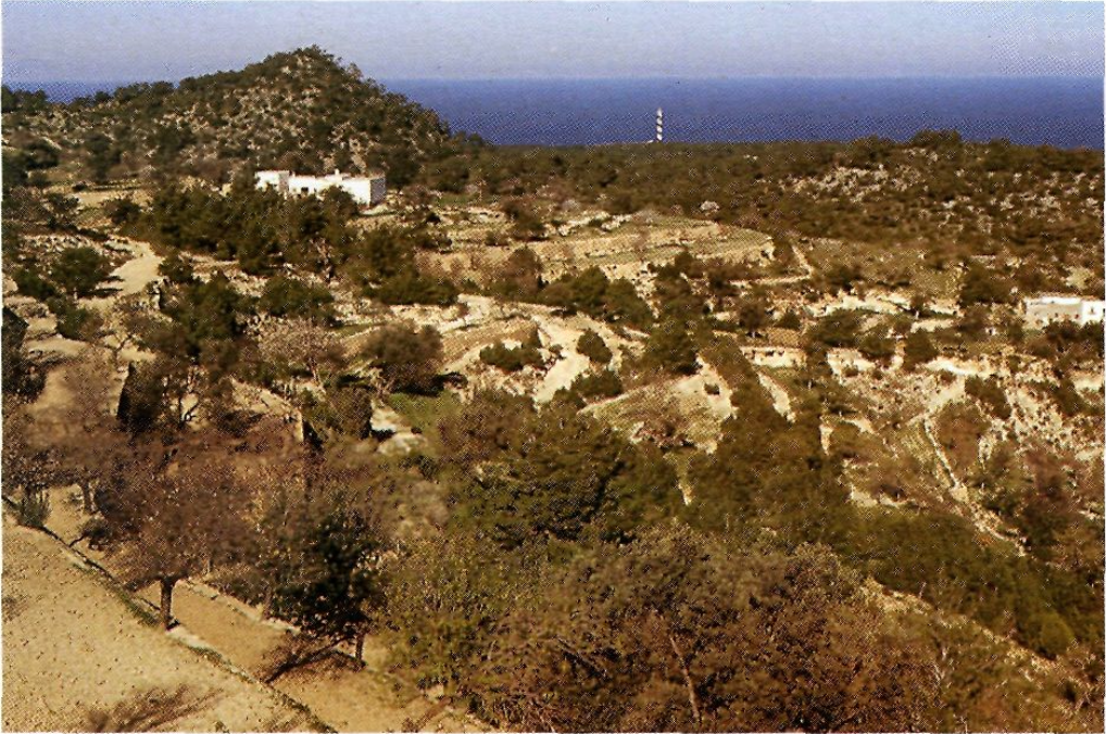 L'home eivissenc, almenys fins al moment en què entrà el turisme de masses, transformava el paisatge natural d'una manera tan harmoniosa com mostra aquesta vista des Amunts, on destaquen les antigues marjades per aconseguir bons conreus i al mateix temps protegir la terra contra l'erosió.