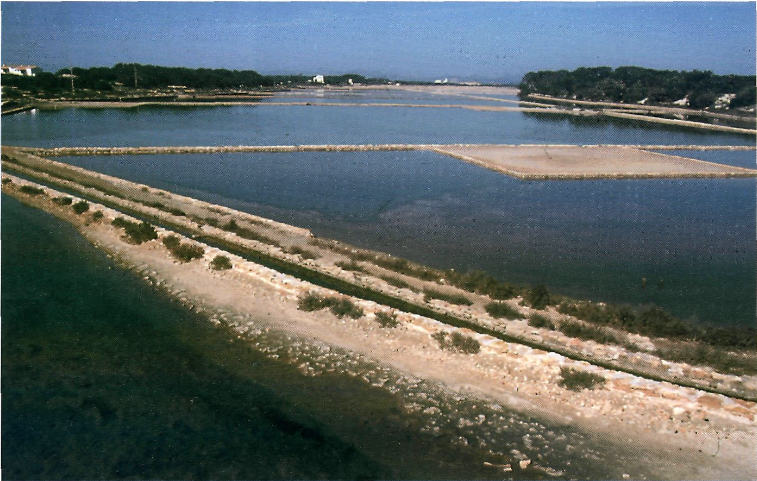 L'antiquíssima indústria salinera pitiüsa -Eivissa es conegué a l'Edat Mitjana com el saler d'Europa- va crear indrets de gran bellesa i gran valor ecològic, com en aquesta vista de les salines Marroig de Formentera. Juntament amb les salines d'Eivissa ja tenen un estatut de protecció ambiental.
