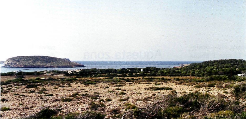 Panoràmica de les terres que reben el nom de Comte, des de les proximitats de la Figuera Borda.