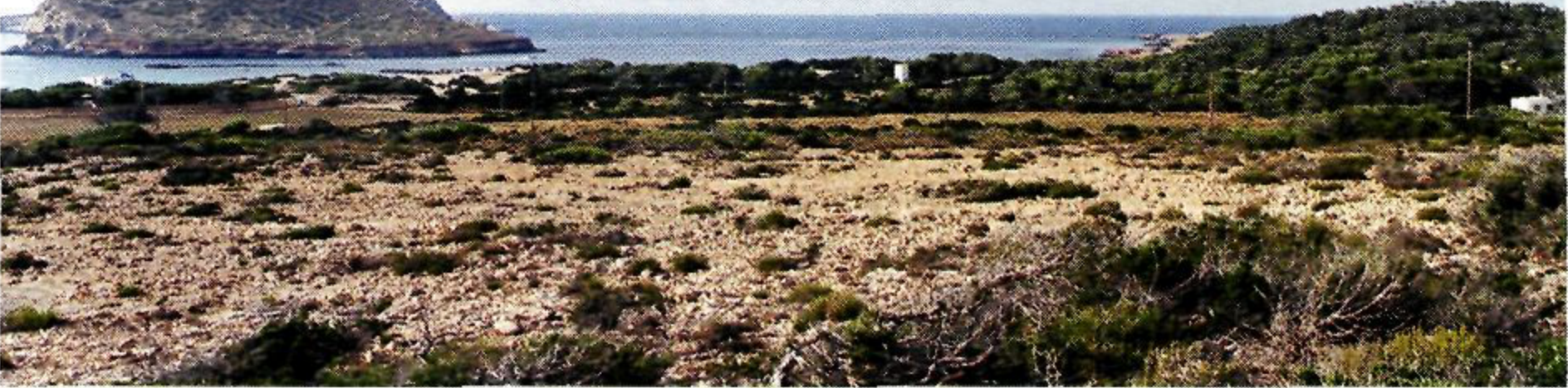 Panoràmica de les terres que reben el nom de Comte, des de les proximitats de la Figuera Borda. (Foto: Enric Ribes i Marí.)