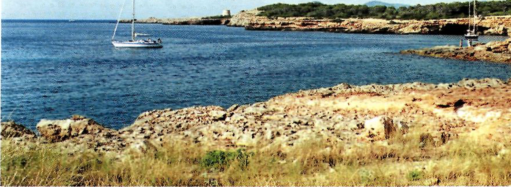 Entre les platges i la punta de Comte no hi ha cap altre tram de costa arenosa on es trobin opercles de caragols de fonera. (Foto: Enric Ribes i Marí.)
