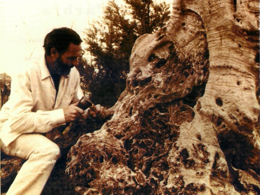 Antoni Hormigo i Escandell treballant en una escultura de fusta.