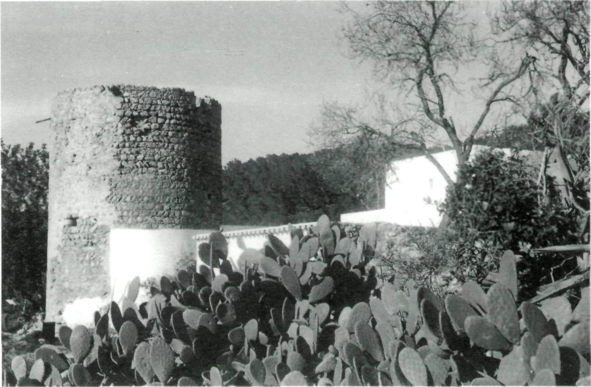 Porta amb arc i escales