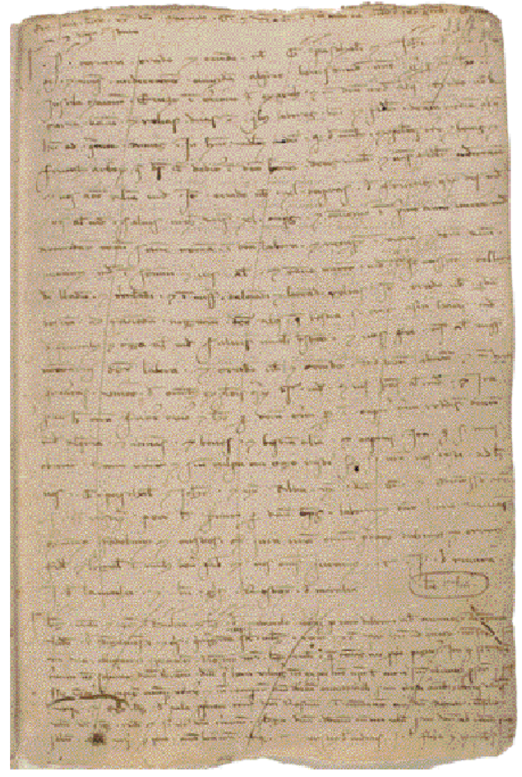 Foli 137r del lligall núm. 342 de la sèrie Escrivania de cartes reials de l'Arxiu del Regne de Mallorca (ARM, ECR 342, 137r) que inclou el document 6.