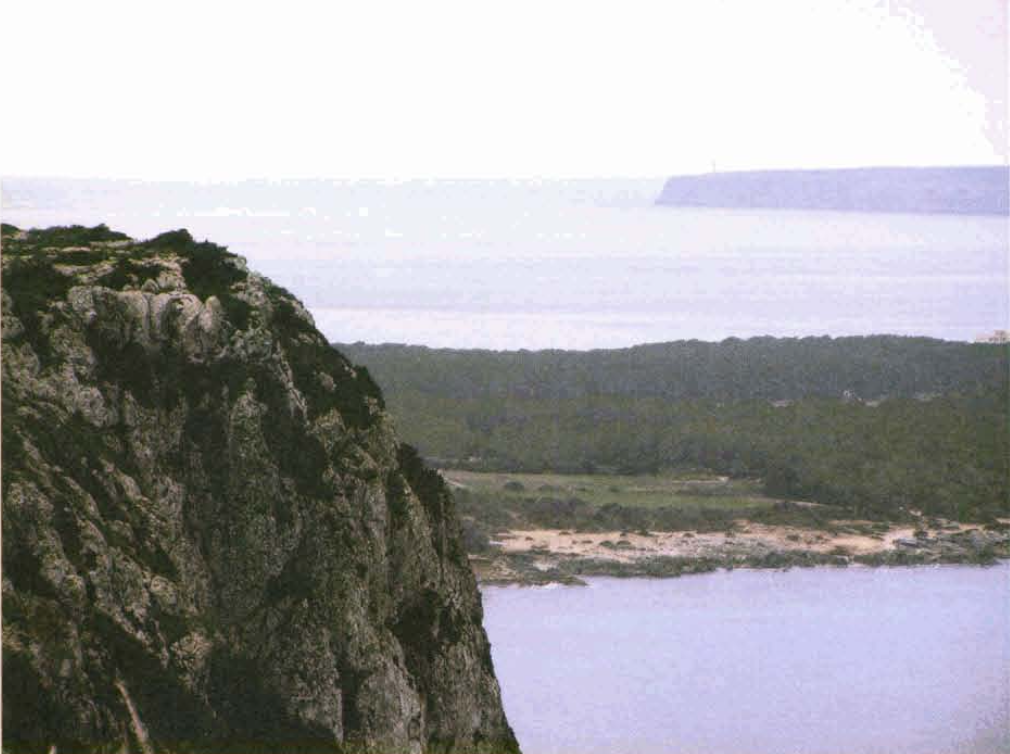 El cap de Barbaria des de la Mola. A la pàgina anterior el pailebot Topagha, enfonsat el passat mes de juliol a l'Atlàntic, navegant front a les platges de ses Illetes amb la Mola al fons en una emulació de l'arribada de la fragata La Torche en què viatjava Jean-Baptiste Biot.
