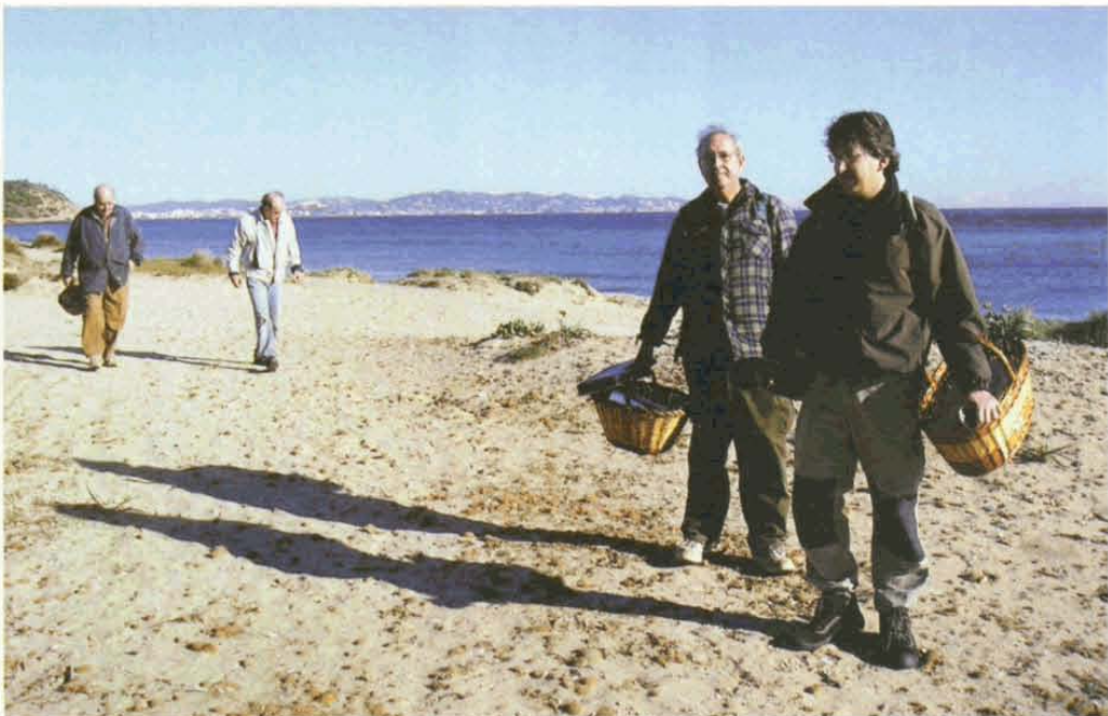 Una mare de pebràs (Russola torulosa)