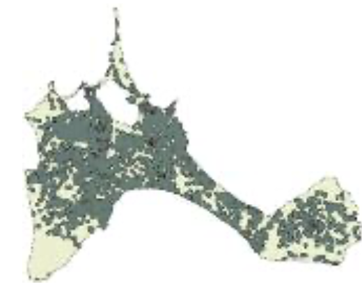 Evolució de l'àrea de pertorbació al voltant de les edificacions de Formentera. Dades acumulades per als anys 1956, 1968, 1979, 1990 i 2002. Font: Prats Ramon, 2004.