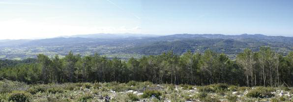 El bosc produïa fusta, reïna, pega i calç. En la imatge, una panoràmica des del puig de sa Torreta (Fotografia: Esperança Escandell).