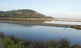 Amb el Decret de Nova Planta, l'explotació de les salines passà a la corona (Fotografia: Raimon Juncà).