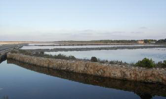 El 1712 les salines foren arrendades a Visconti sense l'aprovació del Consell General de la Universitat (Fotografia: Raimon Juncà).