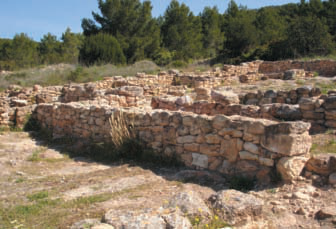 Jaciment arqueològic de les pallisses de Cala d'Hort.