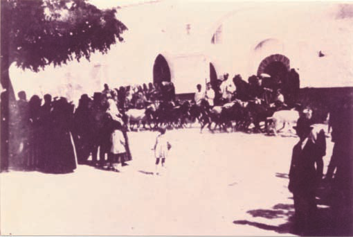 Una altra imatge d'una rodada de cabres del dia de Sant Pere, als anys 40 del segle passat (arxiu Marià Torres).