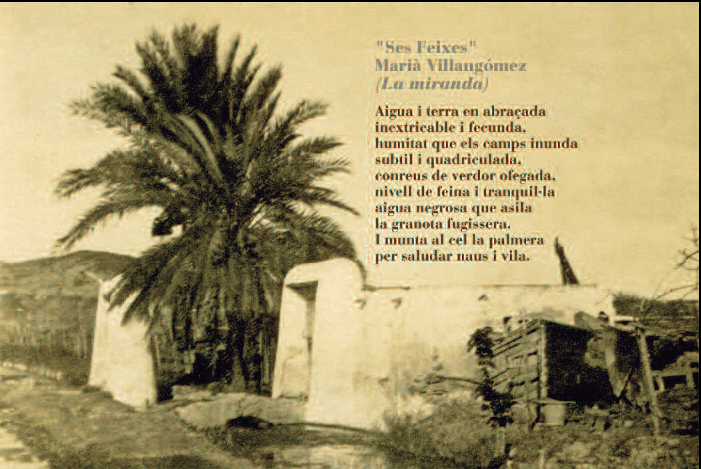 Retrat de Marià Villangómez