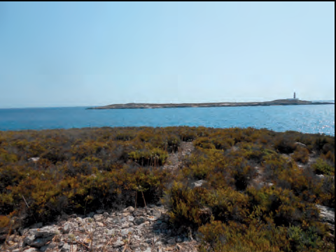 Illa des Penjats, vista des de l'illa Negra Grossa o de Tramuntana, prop des Freus.