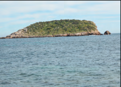 A dalt, l'illa des Canar. A l'estiu la vegetació està seca, però a l'hivern llueix una elevada coberta vegetal d'un verd frondós.