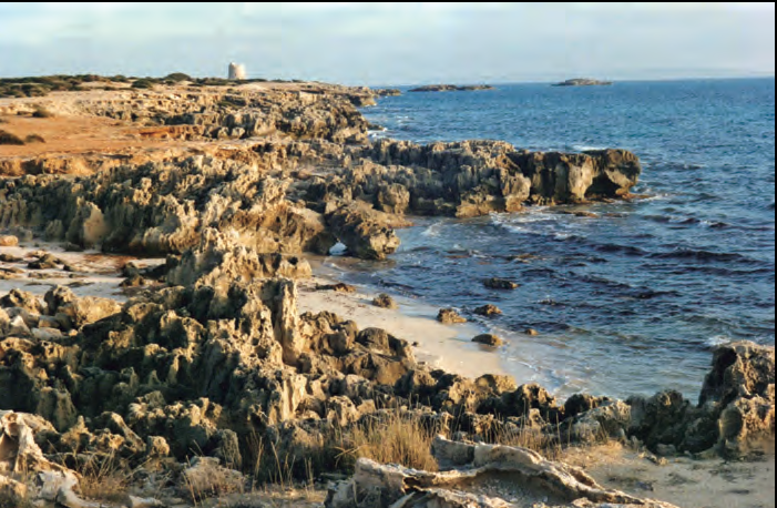 En la imatge, al fons, la zona de l'encallament, a la dreta de la torre de ses Portes