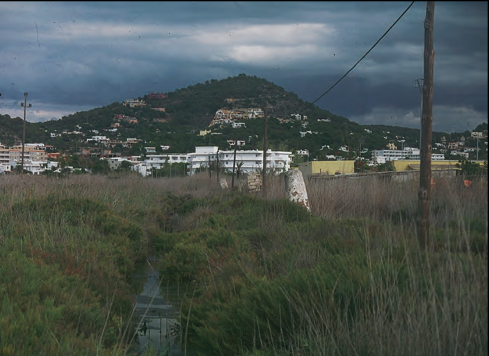 Les feixes del prat de ses Monges han estat abandonades, però en part han mantengut la vegetació natural. En la imatge, l'antiga carrera de Can Teuet (fotografia: Enric Ribes).