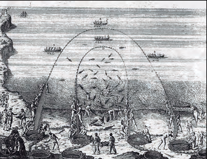 Figura 2. Almadrava de vista o tirada. Ja s'utilitzaven a l'antiguitat i, posteriorment, van ser característiques també dels segles xvi-xviii a l'àrea de l'estret de Gibraltar (font: Sáñez Reguart 1791).