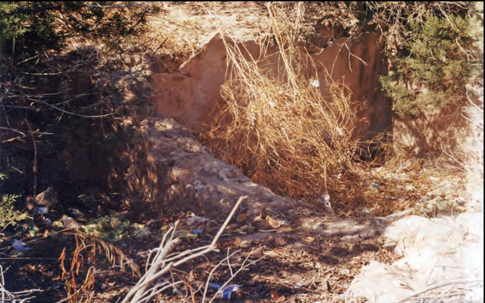 Figura 11. Restes dels saladors de peix de s'Almadrava, a la platja de Migjorn, de Formentera, en una imatge de 1994. Només podem suposar que l'almadrava era explotada per valencians, els mateixos que originaren el topònim es Valencians, també a la platja de Migjorn (foto: Enric Ribes).