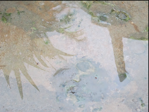 Close-up of textured surface casting shadows
