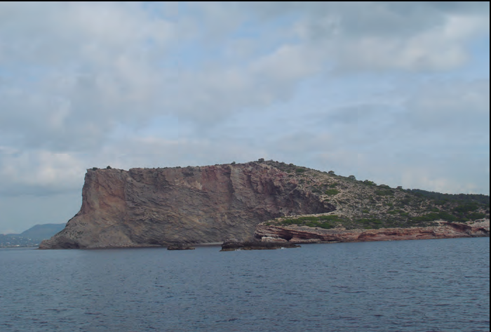 A dalt, la Rama, la punta de la Rama i els esculls de la Rama, a la costa de migjorn d'Eivissa. Tots aquests topònims s'usen sempre amb l'article estàndard.