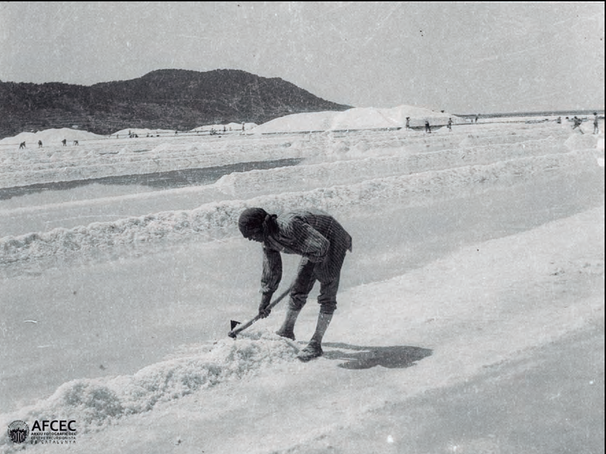Treballador de les salines (fotografia: Baltasar Samper, setembre de 1928, Arxiu Fotogràfic del Centre Excursionista de Catalunya, AFCEC).