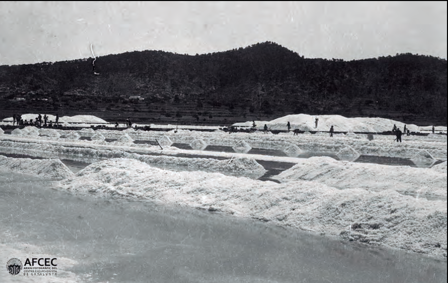 Treballadors cavant la sal (fotografia: Baltasar Samper, setembre de 1928, Arxiu Fotogràfic del Centre Excursionista de Catalunya, AFCEC).