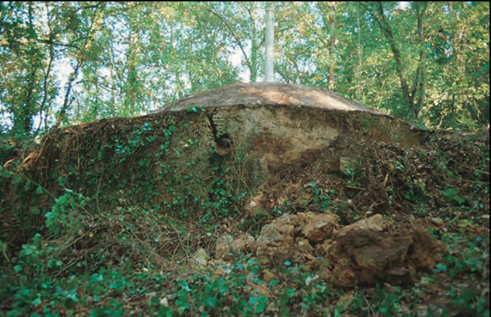 El pou de glaç de Buscastell, a Maçanet de la Selva, abans de ser restaurat (fotografia: Taller d'Història de Maçanet de la Selva).
