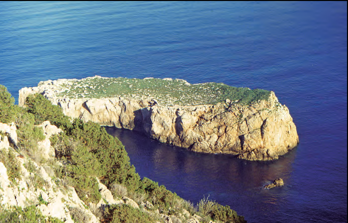 A dalt, l'illa Murada, hàbitat d'alguns curiosos endemismes (foto: Enric Ribes).