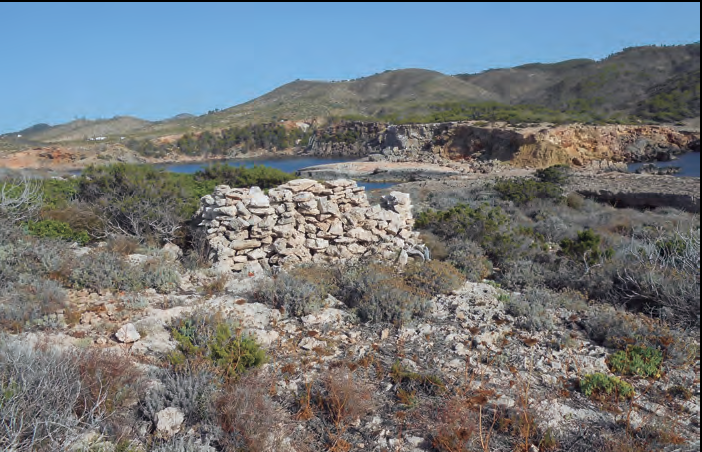 L'illa d'Encalders i, en segon terme, la punta de s'llla d'Encalders (foto: A. M. Cirer).