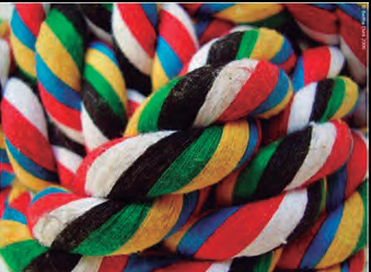 Un manoll de cordes de diferents colors entrelligades