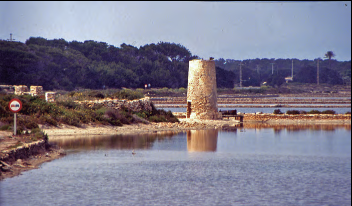 Formentera. L'antic molí den Ferrer, avui torre d'en Castelló (fotografia: Enric Ribes).