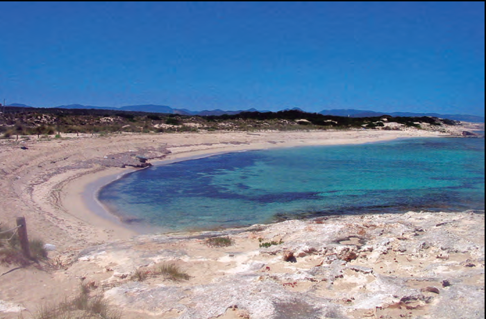 La platja de sa Senyora, a s'Espalmador (fotografia: Enric Ribes).