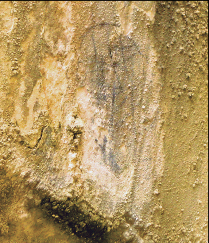 Pintures rupestres de la cova des Vi