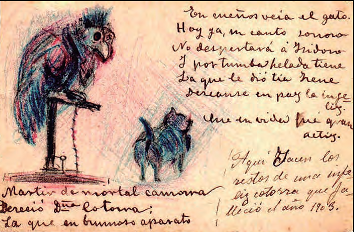 Targeta humorística sobre la mort d'una cotorra.