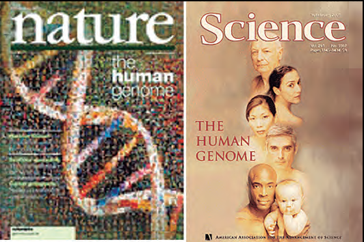 Portades de les revistes Nature i Science de febrer de 2001.