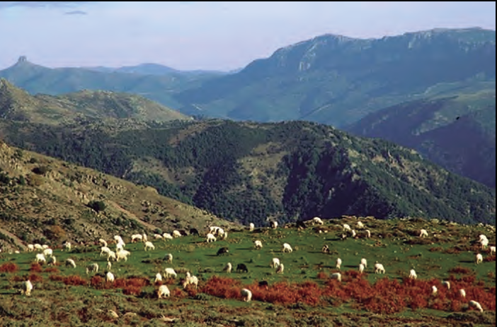 Les muntanyes del Gennargentu.
