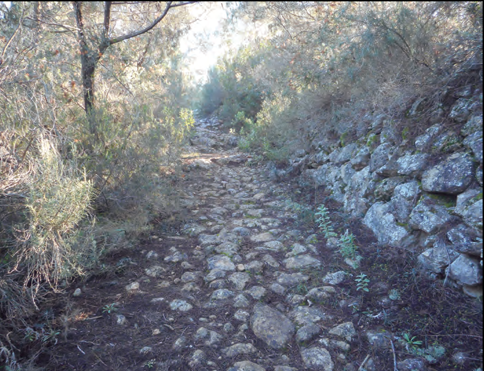 Caminar per un camí ens obliga a veure simultàniament el conjunt i el detall, els dos alhora, en una visió calidoscòpica de l'espai.