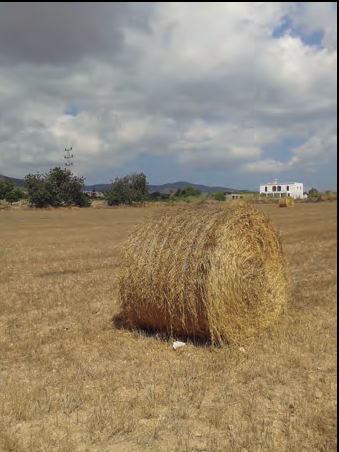 Les postes d'ous i les cries de serpents entren amagades en tot tipus de mercaderies agropecuàries.