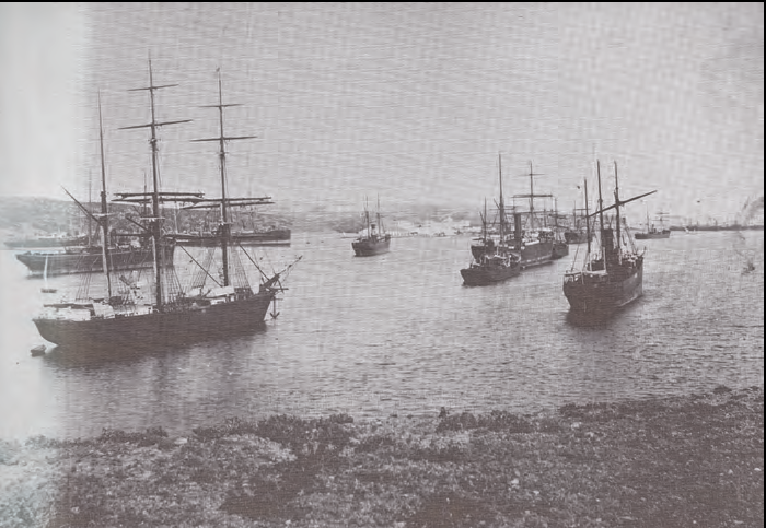 Una altra vista panoràmica del Llatzeret del port de Maó el 12 de juliol de 1884 amb nom-brosos vaixells complint la quarantena (fotografia de Femenías de Maó).