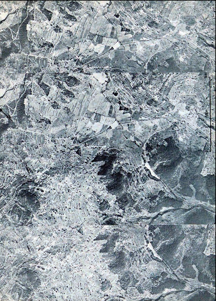Parcel·lari a Eivissa. La terre et l'homme aux îles Baléares. Jean Bisson, 1977.