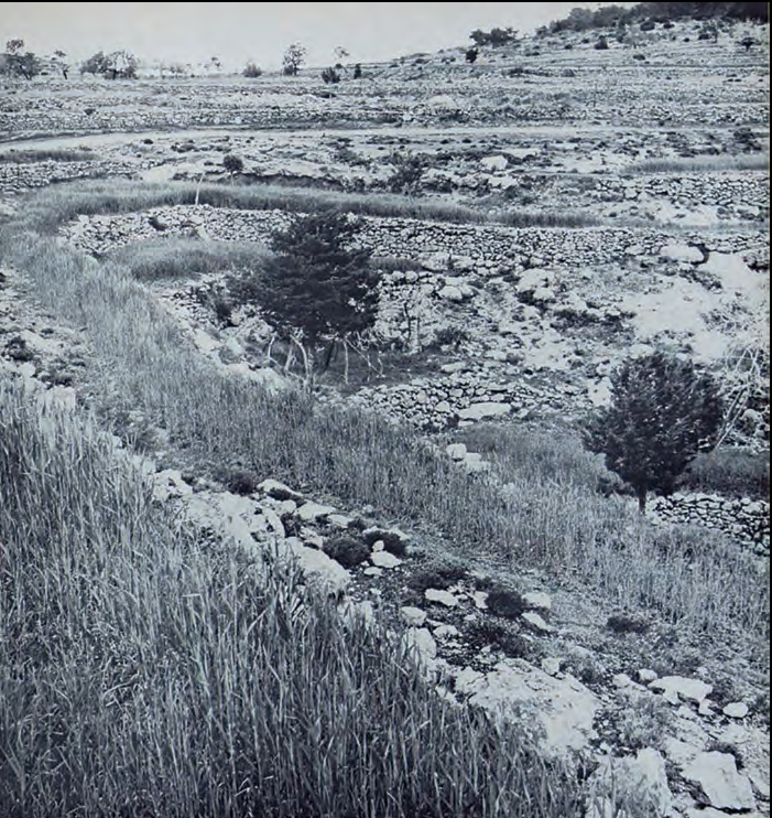 Paisatge eivissenc. La terre et l'homme aux îles Baléares. Jean Bisson, 1977.