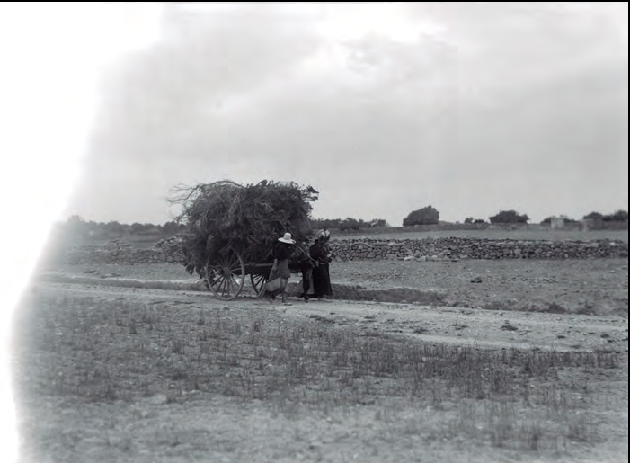 Dones conduint un carro. Fotografia de Pere Català i Roca. Arxiu d'Imatge i So del Consell Insular de Formentera. Fons Pere Català i Roca.