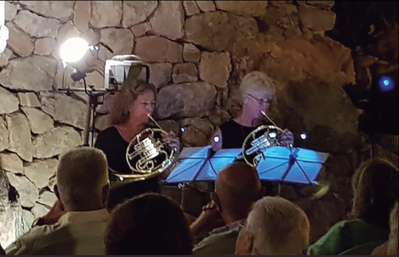 Un moment musical de la vetlada d'homenatge al poeta Manel Mari.